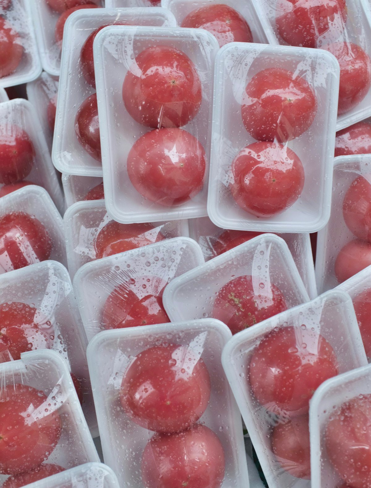 Tomatoes in sealed food trays